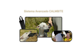 PACK Sistema CALMBITE de Control y Autocontrol Canino