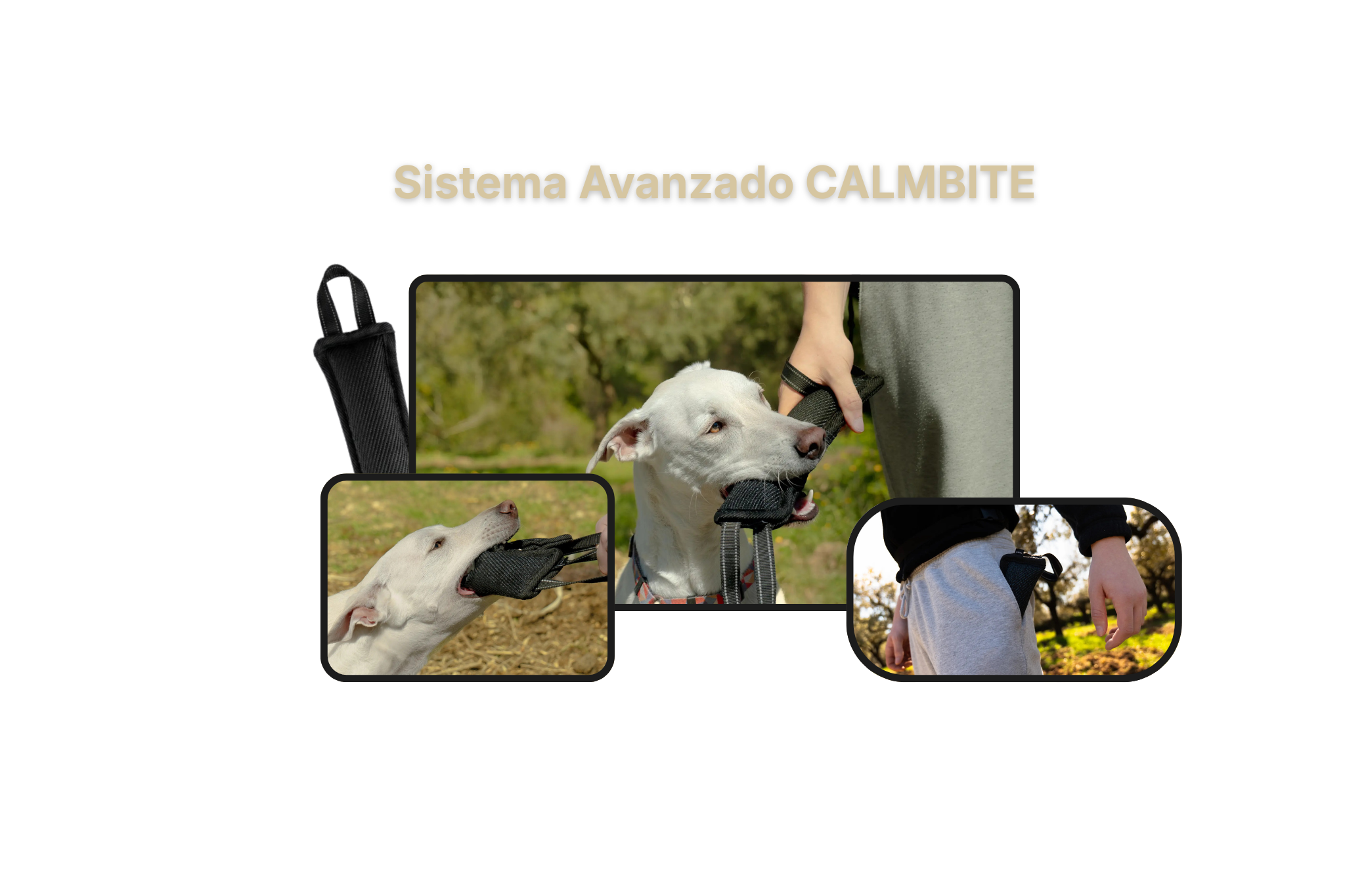 PACK Sistema CALMBITE de Control y Autocontrol Canino